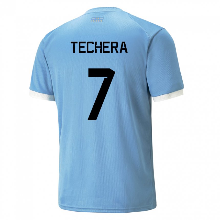 Niño Camiseta Uruguay Facundo Techera #7 Azul 1ª Equipación 22-24 La Camisa Perú