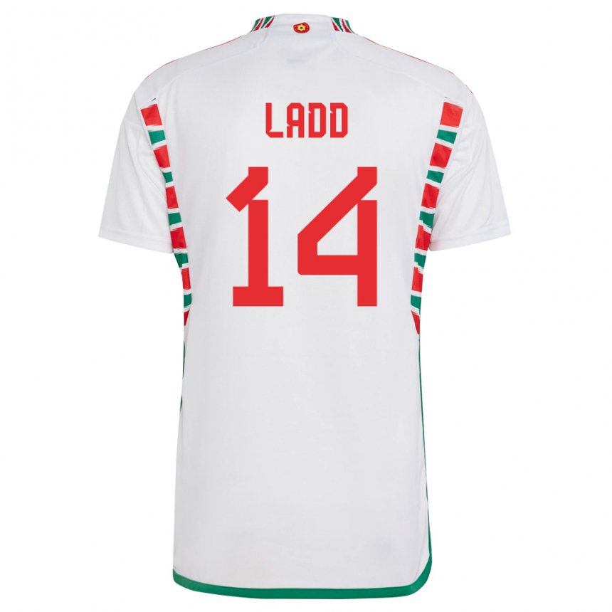 Niño Camiseta Gales Hayley Ladd #14 Blanco 2ª Equipación 22-24 La Camisa Perú