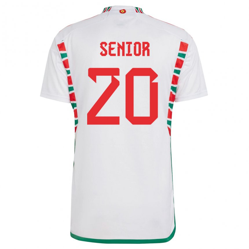 Niño Camiseta Gales Matt Senior #20 Blanco 2ª Equipación 22-24 La Camisa Perú