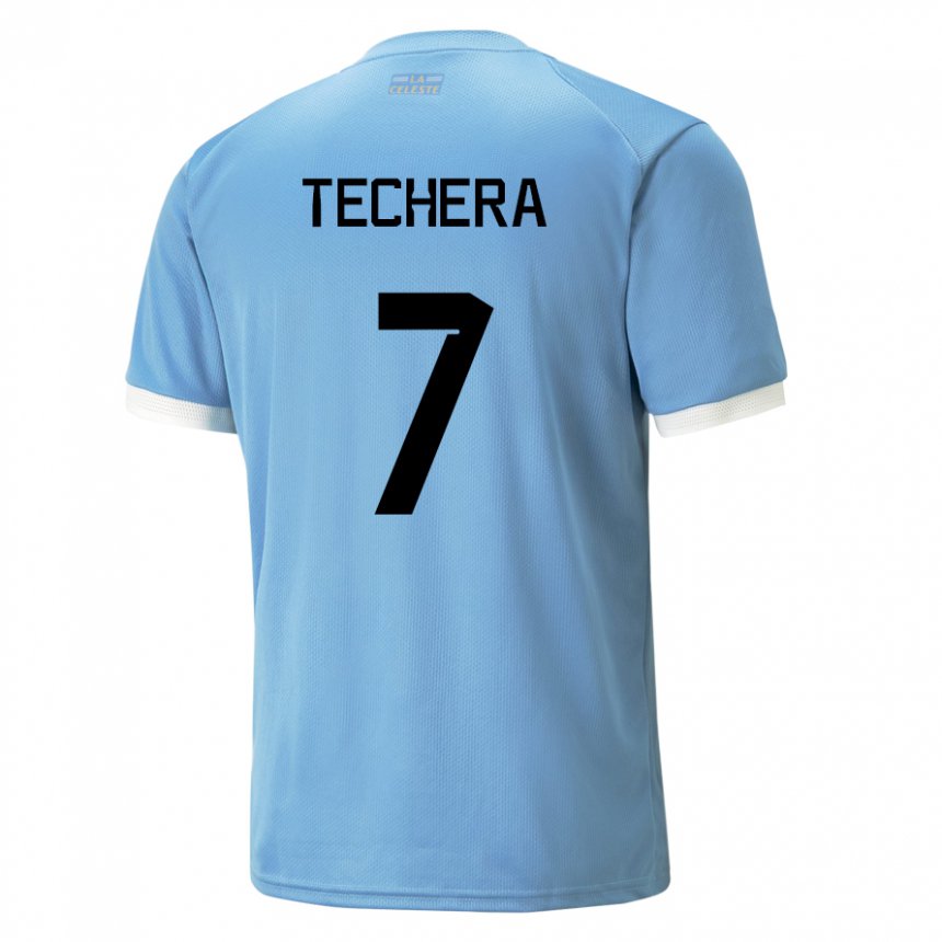 Hombre Camiseta Uruguay Facundo Techera #7 Azul 1ª Equipación 22-24 La Camisa Perú