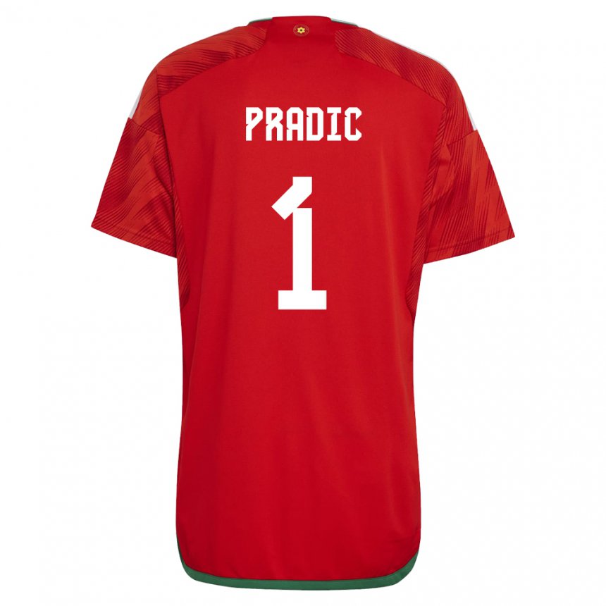 Hombre Camiseta Gales James Pradic #1 Rojo 1ª Equipación 22-24 La Camisa Perú