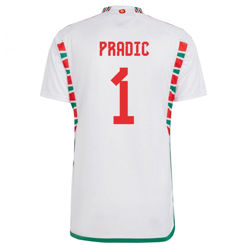Hombre Camiseta Gales James Pradic #1 Blanco 2ª Equipación 22-24 La Camisa Perú