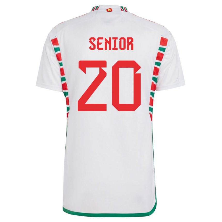 Hombre Camiseta Gales Matt Senior #20 Blanco 2ª Equipación 22-24 La Camisa Perú