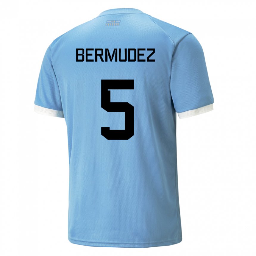Mujer Camiseta Uruguay Karol Bermudez #5 Azul 1ª Equipación 22-24 La Camisa Perú
