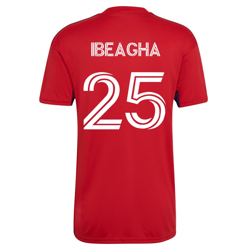 Niño Camiseta Sebastien Ibeagha #25 Rojo 1ª Equipación 2023/24 La Camisa Perú