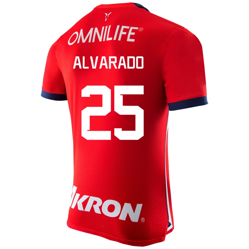 Niño Camiseta Roberto Alvarado #25 Rojo 1ª Equipación 2023/24 La Camisa Perú