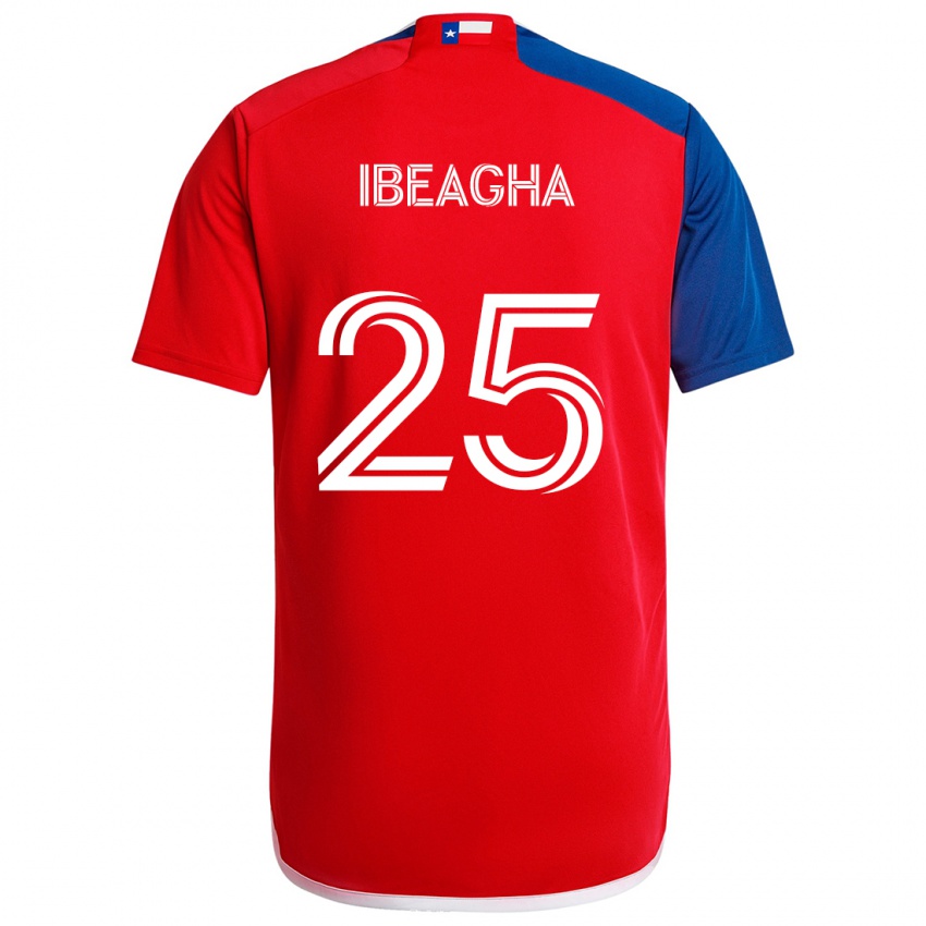 Niño Camiseta Sebastien Ibeagha #25 Azul Rojo 1ª Equipación 2024/25 La Camisa Perú