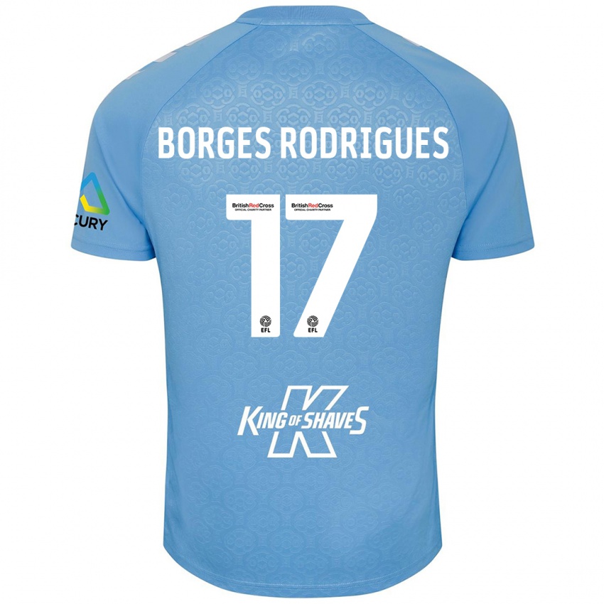 Niño Camiseta Raphael Borges Rodrigues #17 Azul Blanco 1ª Equipación 2024/25 La Camisa Perú