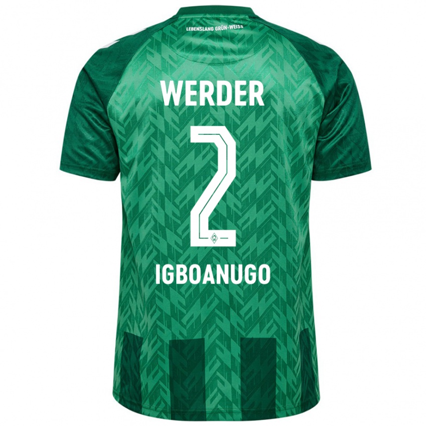 Niño Camiseta David Igboanugo #2 Verde 1ª Equipación 2024/25 La Camisa Perú